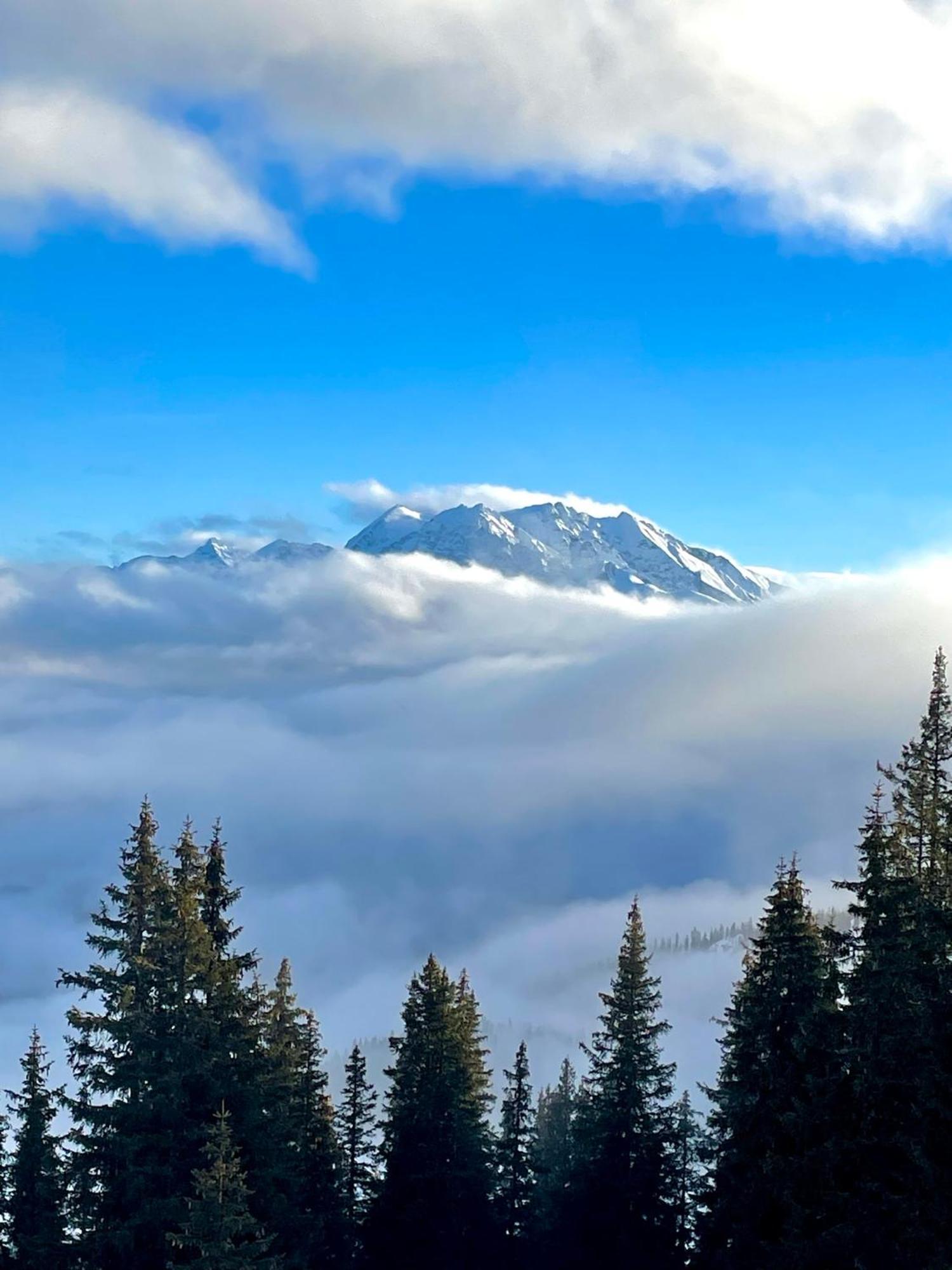 Chalet Belmont Flims Esterno foto